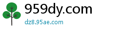 959dy.com